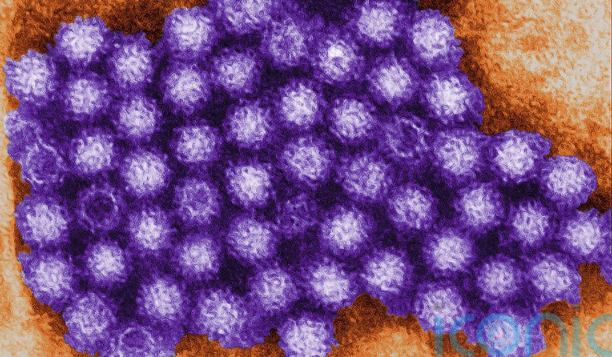 Warning as 'extremely infectious' bug that can cause projectile