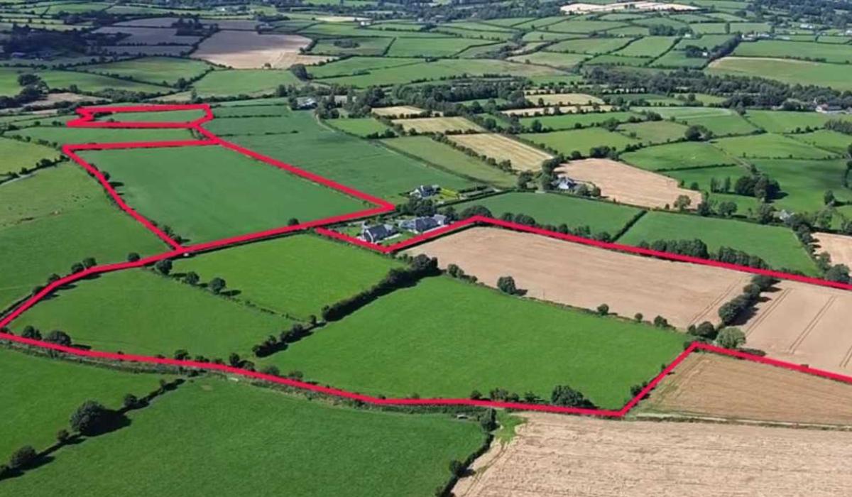 Sixty acres of quality land for sale in Kilkenny Page 1 of 9