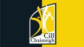 'Didn't make the cut' - Member of Kilkenny backroom departs after one season
