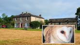Live among the owls at this stunningly refurbished property for sale in Kilkenny