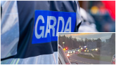 Kilkenny community left 'troubled' as horses die on local road