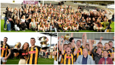 PICTURES: Relive Danesfort's Kilkenny intermediate county final victory