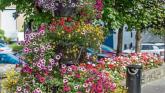 Find out how Kilkenny faired as SuperValu Tidy Towns winners are revealed