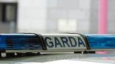 Two arrested in Garda crackdown into over 40 theft and deception incidents across Ireland