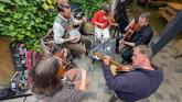 Kilkenny Tradfest back for 14th festival with 100 free gigs
