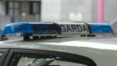 'You're having a laugh' - Kilkenny garda&iacute; take issue with local motorist