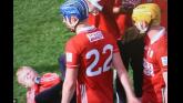 'Unfortunate moment'- Cork captain makes appeal to find young boy hit by his hurley
