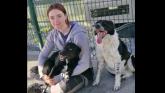 ​Animal rescue seeks new home in Kilkenny