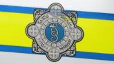 Driver wanted on a bench warrant in custody after Kilkenny arrest
