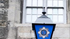 Calls for more gardaí in Kilkenny as overtime payments increase by 100%