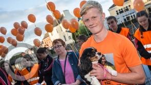 Giving Light and Hope Walk