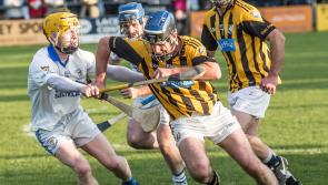 Danesfort delight, but Fenians fall 