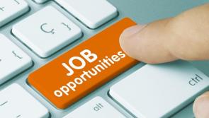 Kilkenny jobs roundup - who's hiring in the county this week?