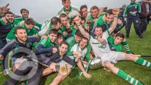 Photo gallery :  O'Loughlin Gaels senior success