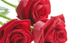 Kilkenny Cards:  For Memorial Cards that are a fitting  tribute to your loved one