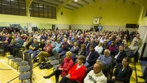 'This road has been nothing short of a catastrophe for us' - PP of Piltown and Templeorum