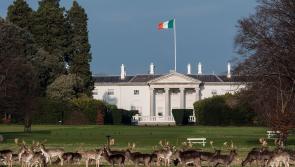 Presidential hopefuls in Kilkenny today