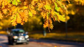 How to apply for a provisional licence