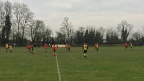 Young Cats show claws against Carlow