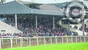Good day on the cards for Gowran Park