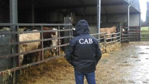 Four million euro owed by Kilkenny farmer to Revenue