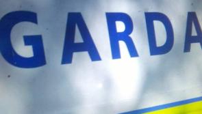 €300,000 worth of cannabis destined for the Kilkenny  market seized