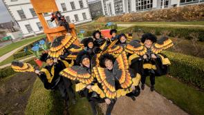 St Patrick's Day Festival in Kilkenny to focus on  Jonathan Swift