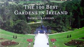 Kilkenny People Gardening Column