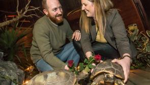 Special  Gowran couple celebrate 5 year wedding anniversary 