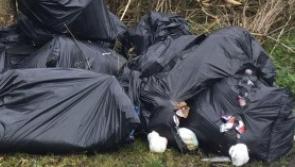 ICYMI: Kilkenny clean-up team make 'nauseating' discoveries including a lady's dress and underwear 