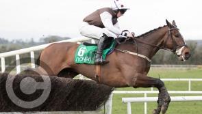 Shark circles to snap up two winners at Leopardstown