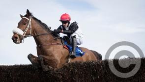 Blackmore continues impressive form with Gowran Park success