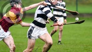 Kilkenny schools ready for cracking Croke Cup semi-finals