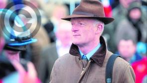 Cheltenham cheer for Willie Mullins
