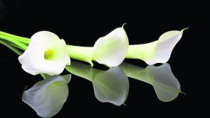 Kilkenny deaths for Friday, October 19