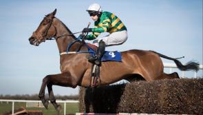 Family fortunes soar as O’Briens start flat season in winning style