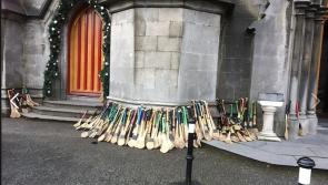 Kilkenny councillor says 'soul' of hurling will be lost unless genuine ash hurleys survive