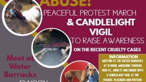 Peaceful protest against animal cruelty organised for next Saturday
