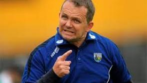 Wexford boss Fitzgerald thrilled to beat Kilkenny