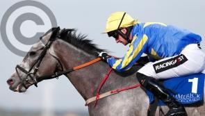 Rekindling makes a winning start for O'Brien at Leopardstown
