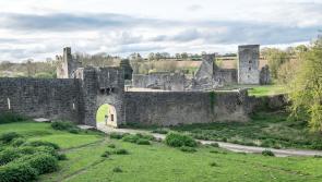 Fascinating history of Kilkenny's stone bridges at Kells lecture 