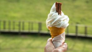 More people in queues for wine or ice-cream than can go to funeral during lockdown - TD 

 