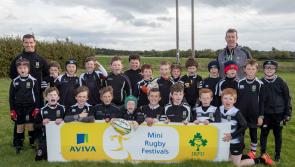 Big day ahead for Kilkenny mini rugby!