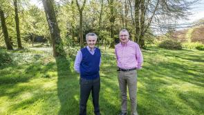Wexford giant of racing still working miracles in magical Kilcullen, Kilkenny