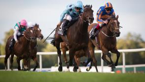 THE PUNTER'S EYE: Gowran tips to banish the Wednesday blues 