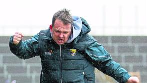 Wonderful Wexford send Kilkenny flying from Leinster