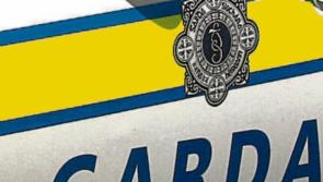 Kilkenny gardaí try to identify owners of stolen property