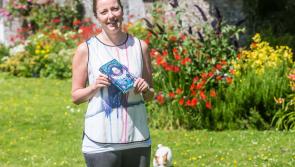 Kilkenny author's 'Perfect'new novel to reach a global audience