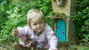 Excitement mounts for Fairytale Festival in Paulstown on Sunday