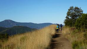 Pilgrims to do the  Camino walk at Jenkinstown Park